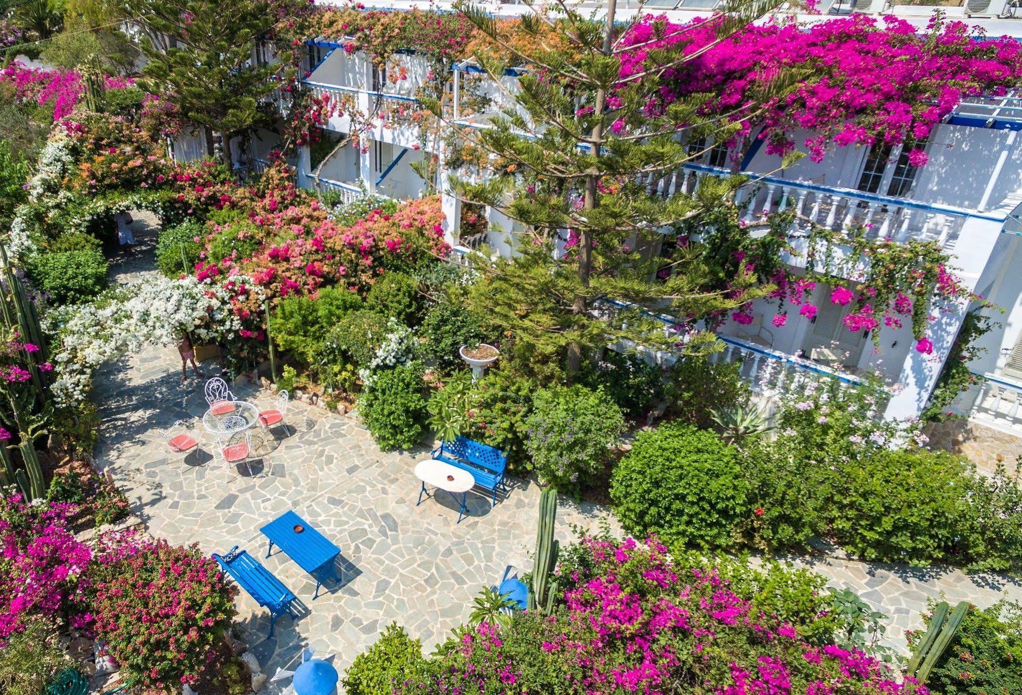 Angelika Aparthotel Άλιντα Εξωτερικό φωτογραφία